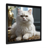 Exotic Shorthair Elegance Cat - Cat Wall Art Prints