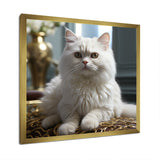 Exotic Shorthair Elegance Cat - Cat Wall Art Prints