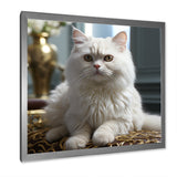 Exotic Shorthair Elegance Cat - Cat Wall Art Prints