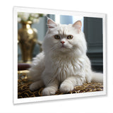 Exotic Shorthair Elegance Cat - Cat Wall Art Prints