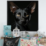 Oriental Elegance Black Cat Portrait - Black Cat Wall Art