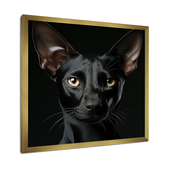 Oriental Elegance Black Cat Portrait - Black Cat Wall Art