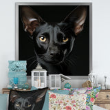 Oriental Elegance Black Cat Portrait - Black Cat Wall Art