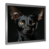 Oriental Elegance Black Cat Portrait - Black Cat Wall Art