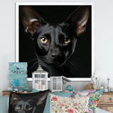 Oriental Elegance Black Cat Portrait - Black Cat Wall Art