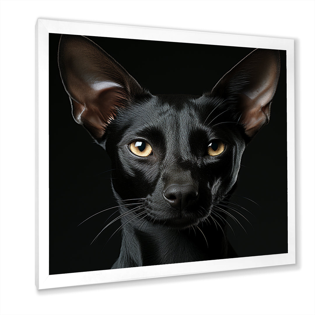 Oriental Elegance Black Cat Portrait - Black Cat Wall Art