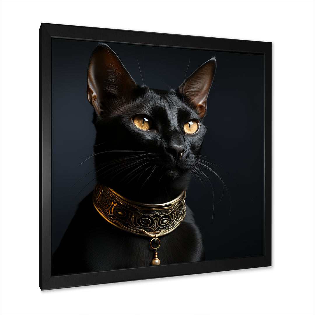 Oriental Opulence Cat Portrait - Cat Framed Canvas Art