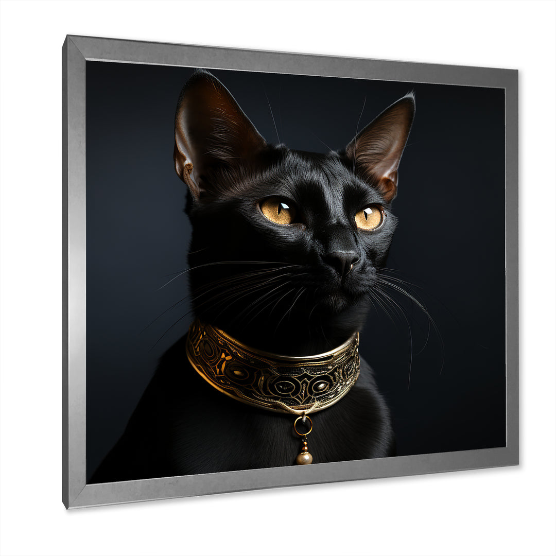 Oriental Opulence Cat Portrait - Cat Framed Canvas Art