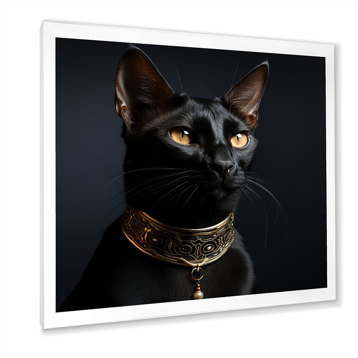 Oriental Opulence Cat Portrait - Cat Framed Canvas Art