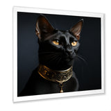 Oriental Opulence Cat Portrait - Cat Framed Canvas Art