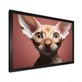Peterbald Playfulness Cat Portrait - Cat Bedroom Wall Art