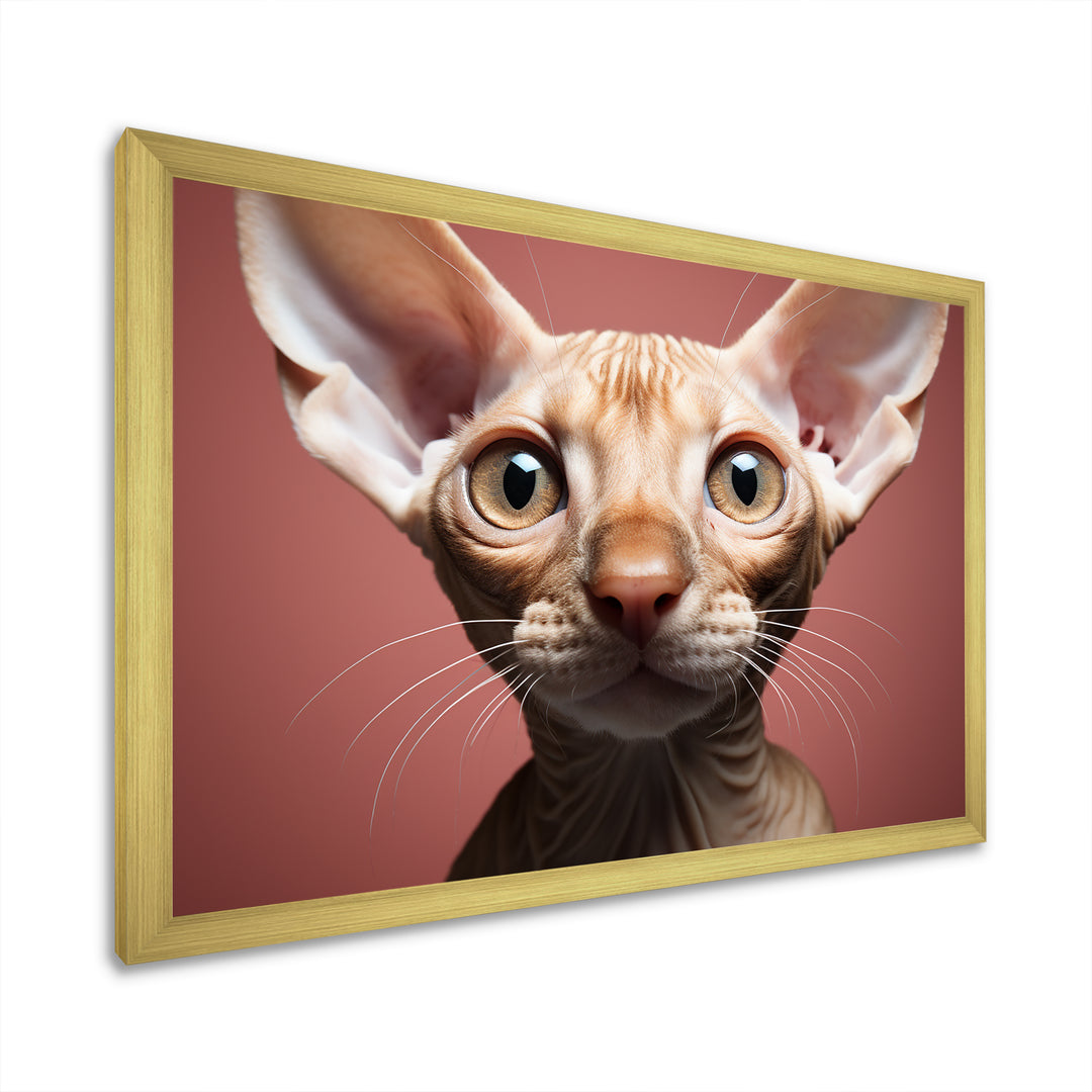 Peterbald Playfulness Cat Portrait - Cat Bedroom Wall Art