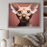 Peterbald Playfulness Cat Portrait - Cat Bedroom Wall Art