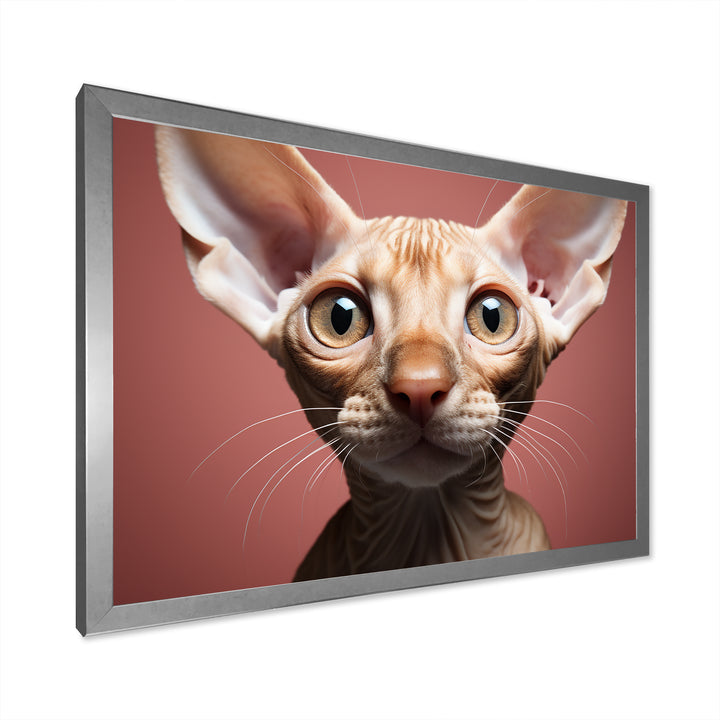 Peterbald Playfulness Cat Portrait - Cat Bedroom Wall Art