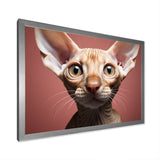 Peterbald Playfulness Cat Portrait - Cat Bedroom Wall Art