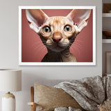 Peterbald Playfulness Cat Portrait - Cat Bedroom Wall Art