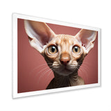 Peterbald Playfulness Cat Portrait - Cat Bedroom Wall Art