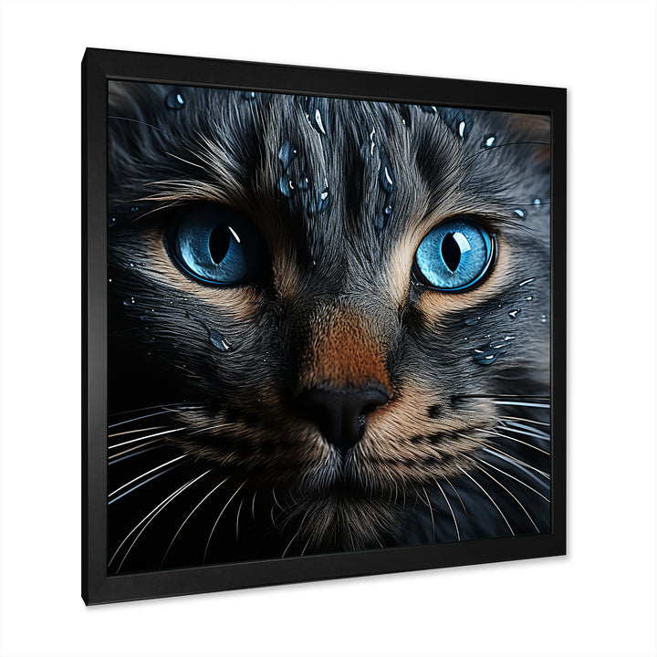 Cat Blue Eye Reflection - Blue Cat Wall Art