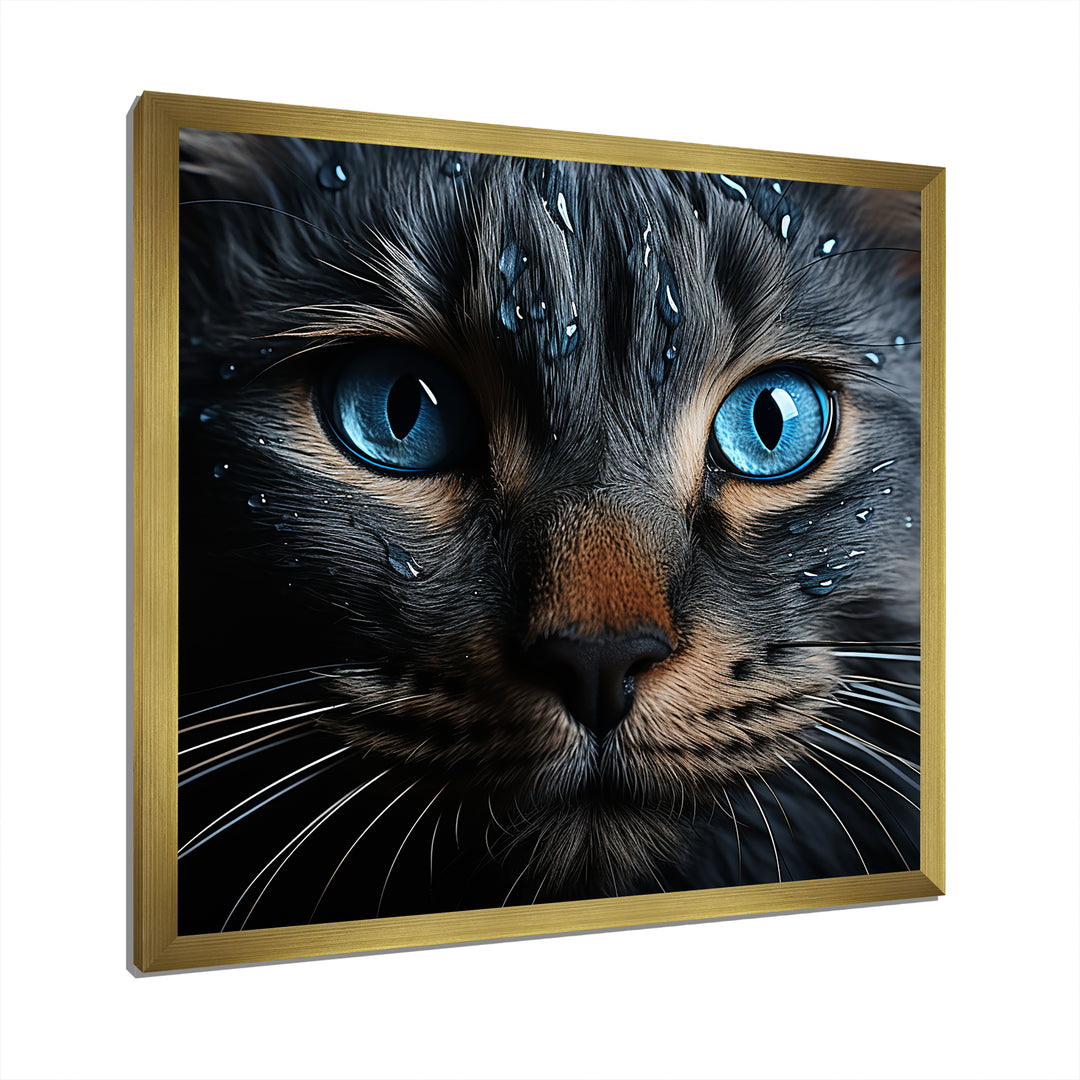 Cat Blue Eye Reflection - Blue Cat Wall Art