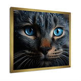 Cat Blue Eye Reflection - Blue Cat Wall Art
