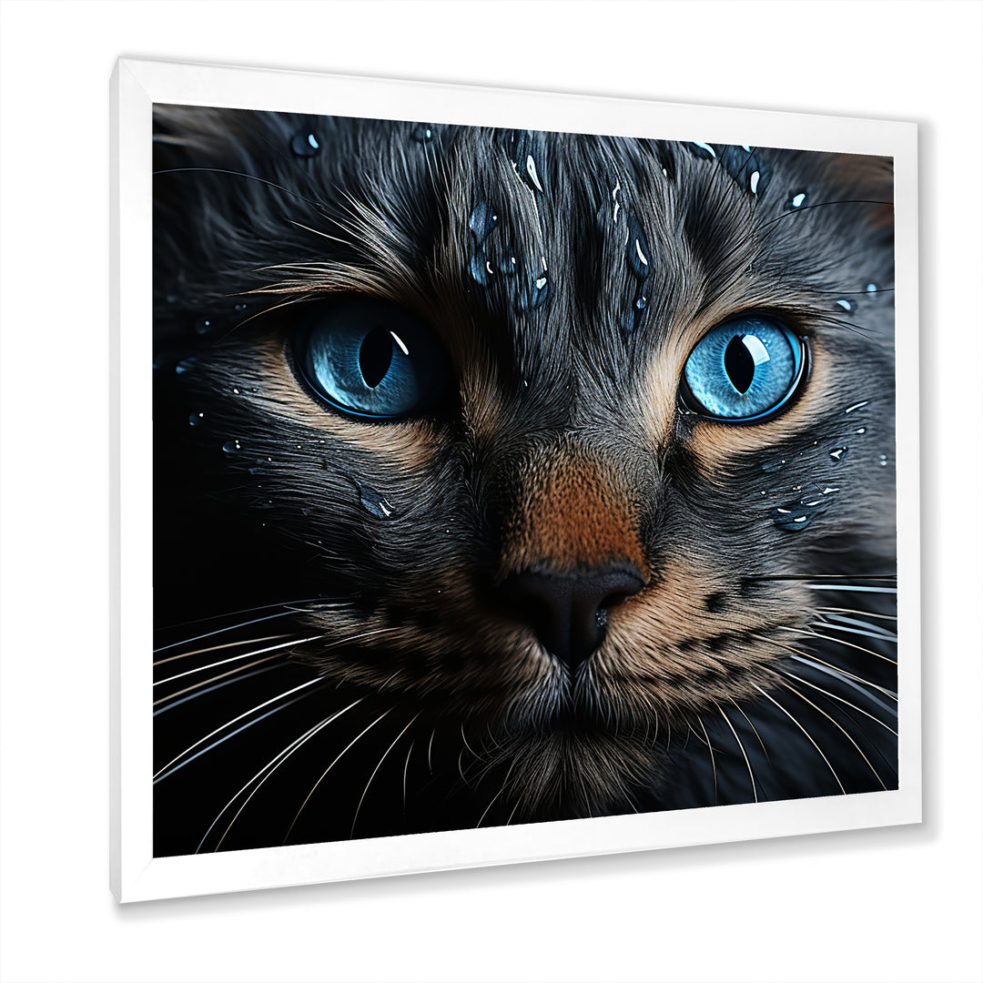 Cat Blue Eye Reflection - Blue Cat Wall Art
