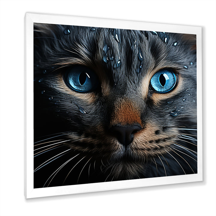 Cat Blue Eye Reflection - Blue Cat Wall Art