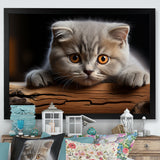 Cute Scottish Cat Fold Serenity - Cat Home Decor Art