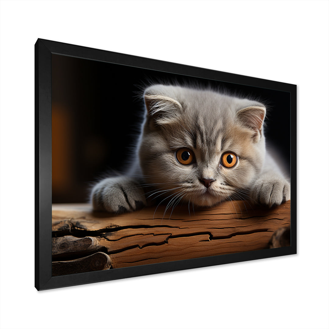 Cute Scottish Cat Fold Serenity - Cat Home Decor Art