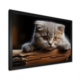Cute Scottish Cat Fold Serenity - Cat Home Decor Art