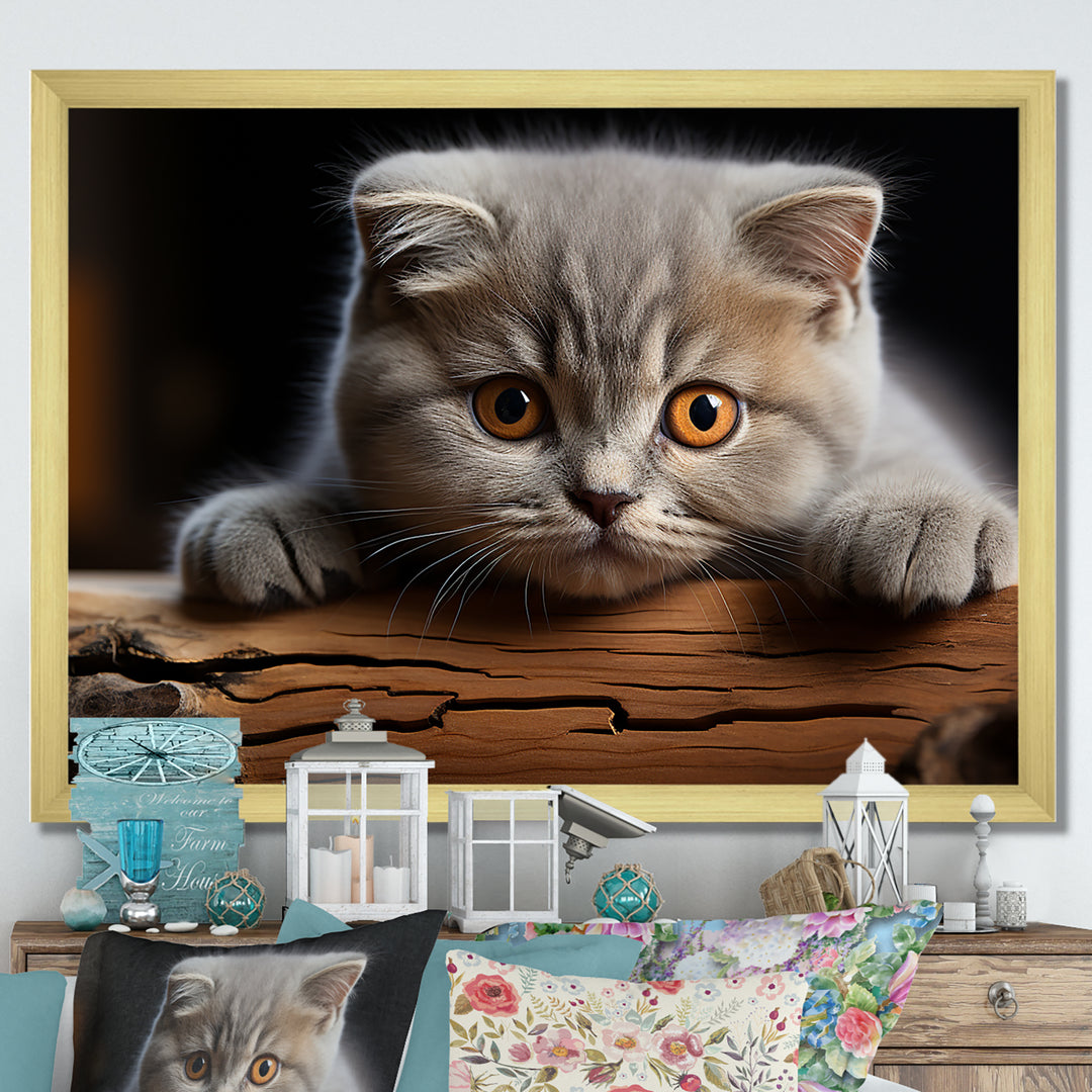Cute Scottish Cat Fold Serenity - Cat Home Decor Art