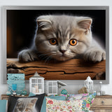 Cute Scottish Cat Fold Serenity - Cat Home Decor Art