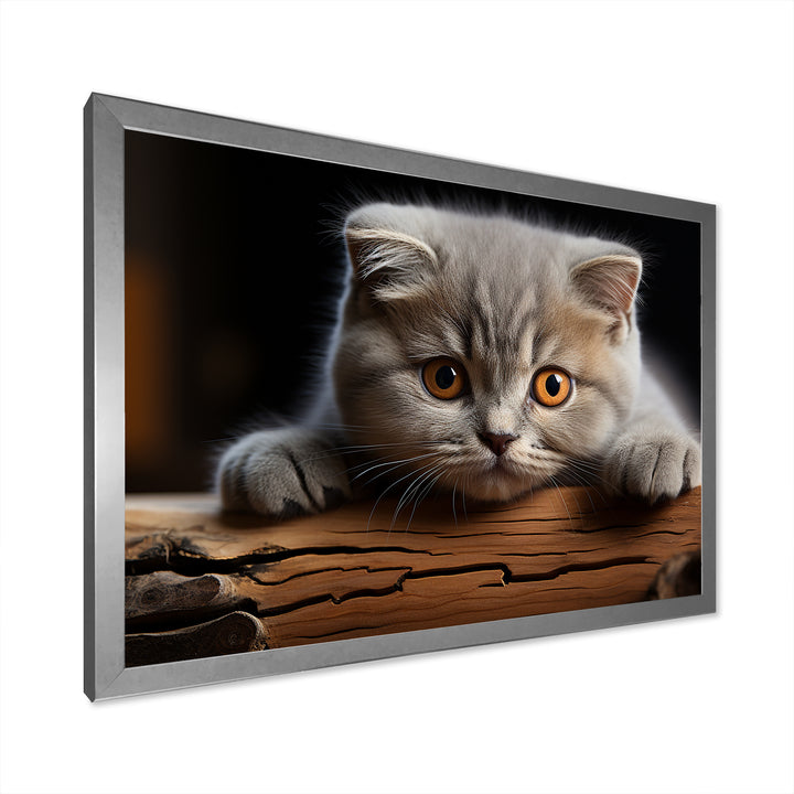 Cute Scottish Cat Fold Serenity - Cat Home Decor Art