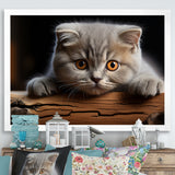 Cute Scottish Cat Fold Serenity - Cat Home Decor Art