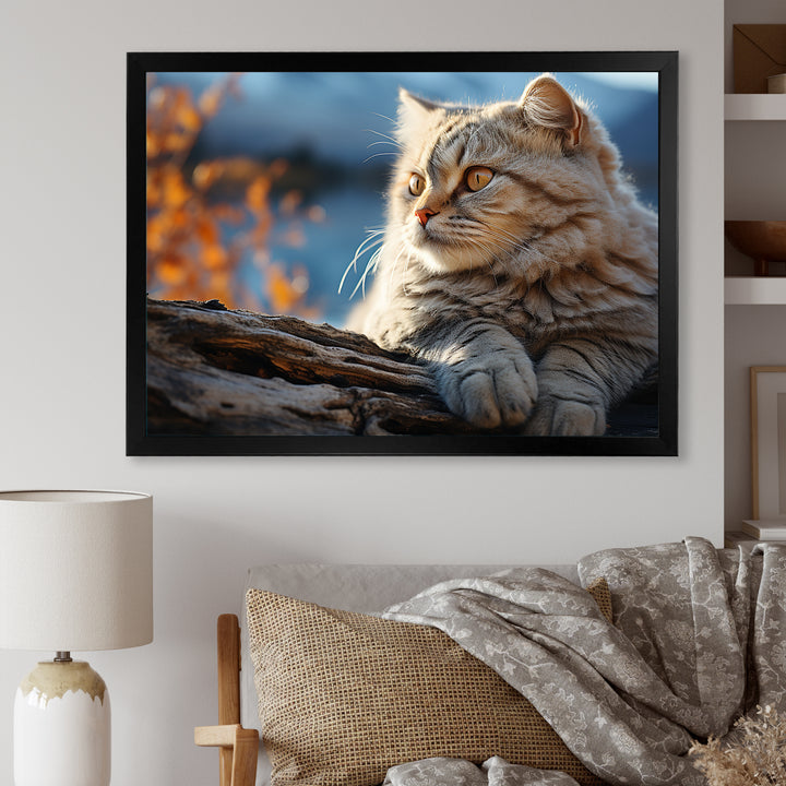 Cat Scottish Fold Serenity - Cat Living Room Wall Art