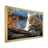 Cat Scottish Fold Serenity - Cat Living Room Wall Art