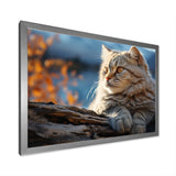 Cat Scottish Fold Serenity - Cat Living Room Wall Art