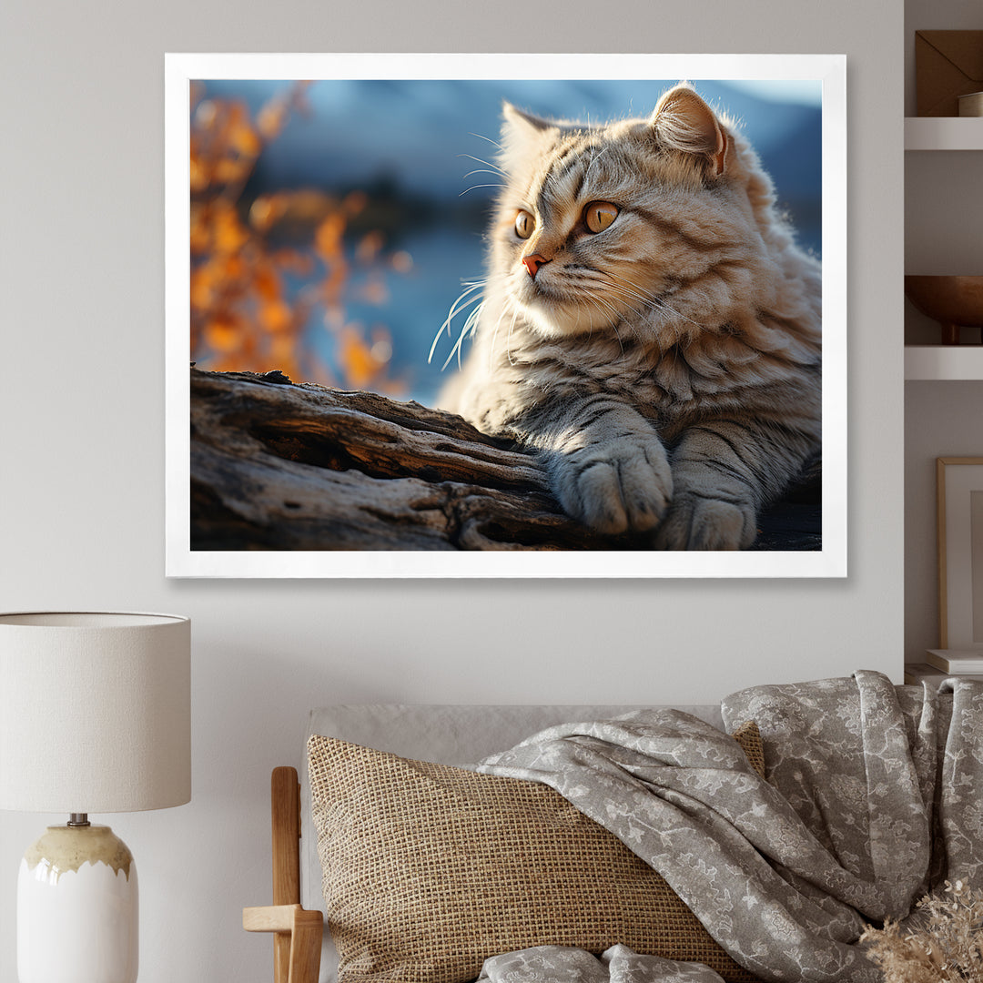 Cat Scottish Fold Serenity - Cat Living Room Wall Art