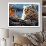 Cat Scottish Fold Serenity - Cat Living Room Wall Art
