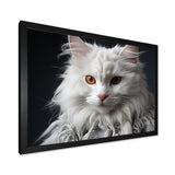 Selkirk Rex Cat Sophistication - Cat Bedroom Wall Art