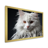 Selkirk Rex Cat Sophistication - Cat Bedroom Wall Art
