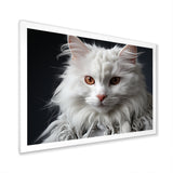 Selkirk Rex Cat Sophistication - Cat Bedroom Wall Art