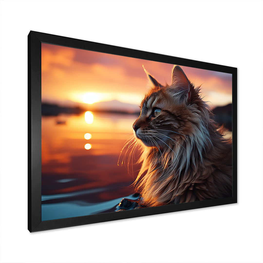 Solitude Cat In Sunset - Cat Wall Art Prints