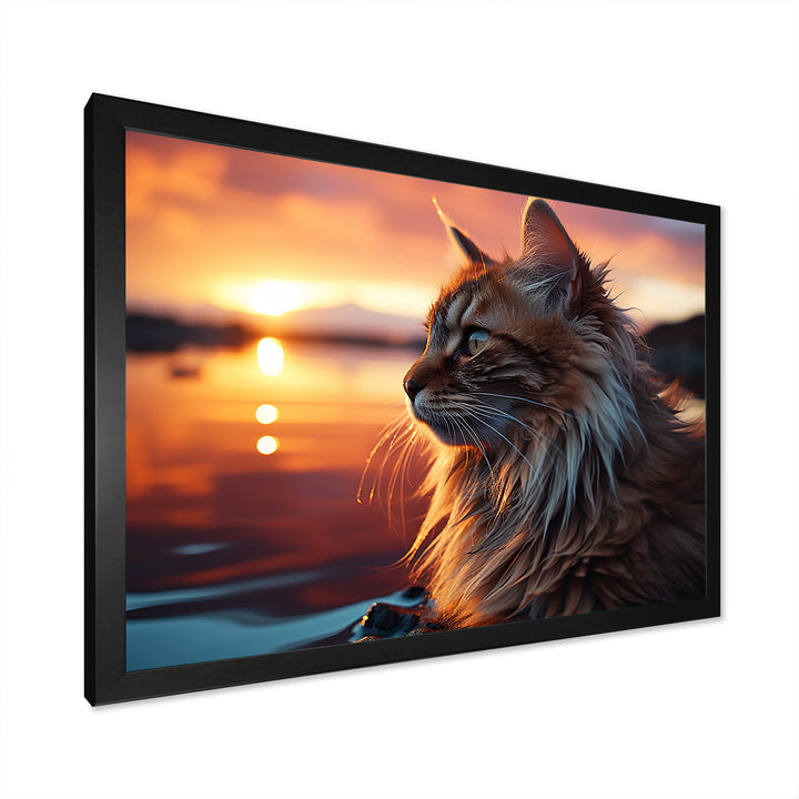 Solitude Cat In Sunset - Cat Wall Art Prints