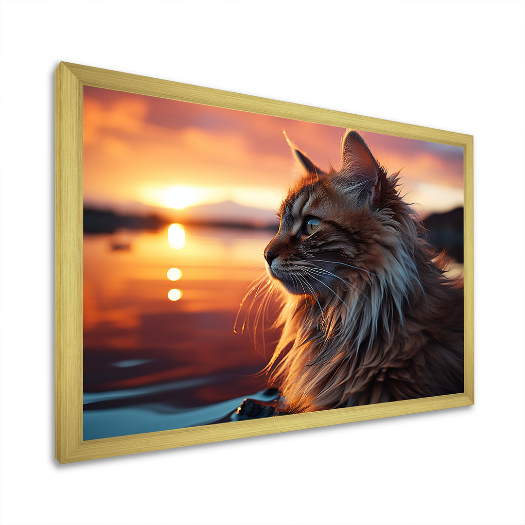 Solitude Cat In Sunset - Cat Wall Art Prints