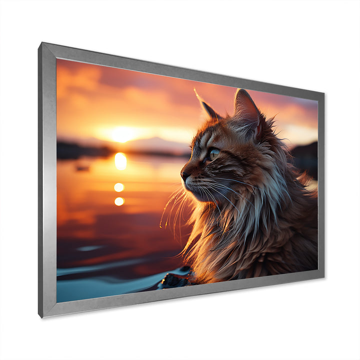 Solitude Cat In Sunset - Cat Wall Art Prints