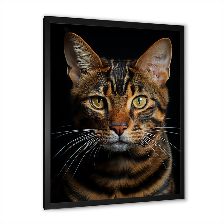 Cat Toyger Tigress Portrait - Brown Cat Wall Art