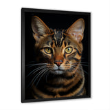Cat Toyger Tigress Portrait - Brown Cat Wall Art