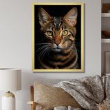 Cat Toyger Tigress Portrait - Brown Cat Wall Art