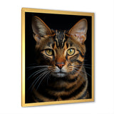 Cat Toyger Tigress Portrait - Brown Cat Wall Art