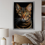 Cat Toyger Tigress Portrait - Brown Cat Wall Art